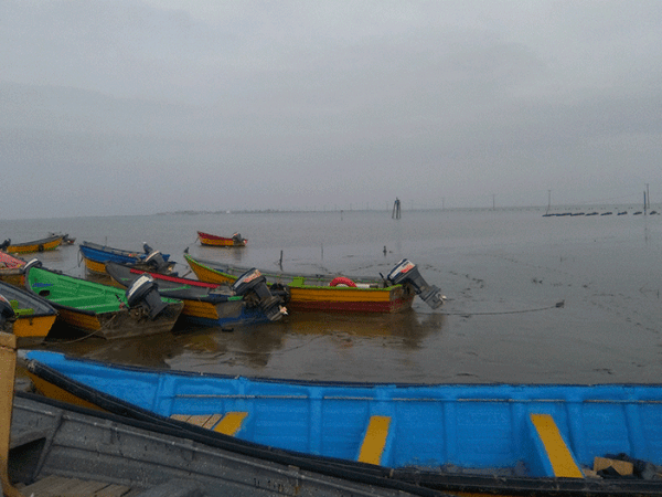 Birding before a Turkamani&nbsp;wedding